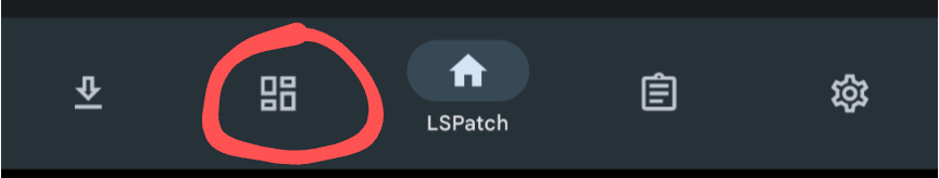 LSPatch